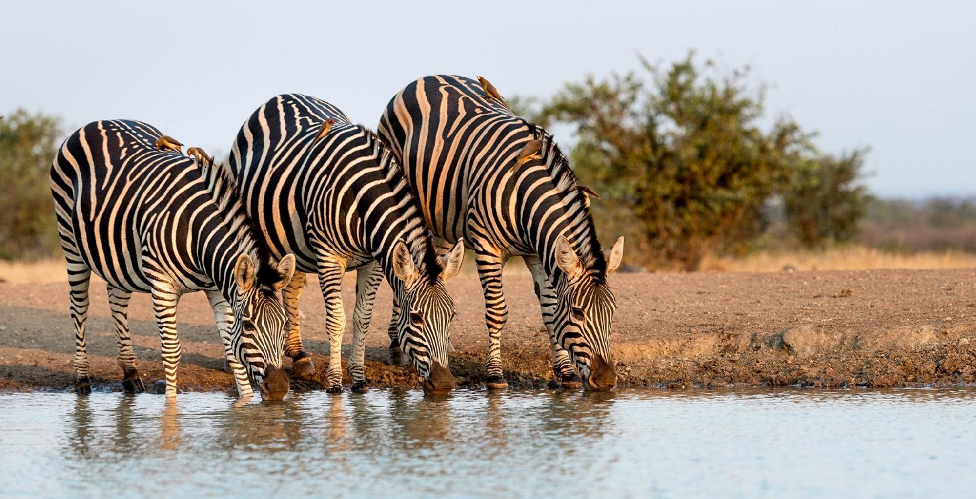 Kariba The Viewヴィラ エクステリア 写真